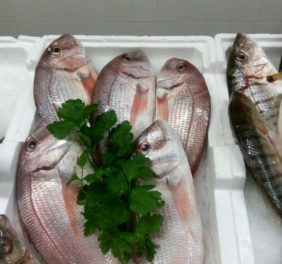 PESCHERIA TEOFILO      di Saverio Barabba