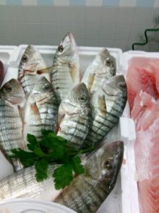 PESCHERIA TEOFILO      di Saverio Barabba