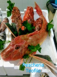 PESCHERIA TEOFILO      di Saverio Barabba