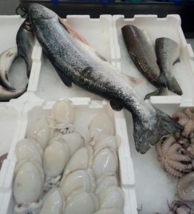 PESCHERIA TEOFILO      di Saverio Barabba
