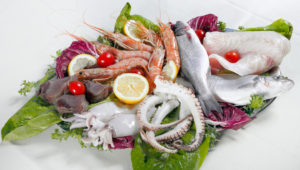 PESCHERIA TEOFILO      di Saverio Barabba