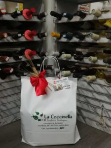 LA COCCINELLA  di Carenza Vincenzo