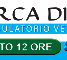 ARCA DI NOE’ Ambulatorio Veterinario